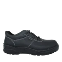 663 FX2 Shoe STC