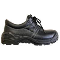 695 Lynx Shoe STC
