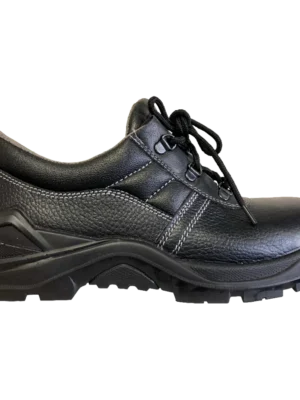 Lynx Shoe STC